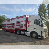 Полуприцеп для перевозки скота Pezzaioli 31G, 2004, Бишкек