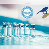 Фармацевтическоепроизводство gmpеаэс, Москва