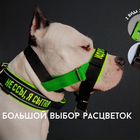 Халти недоуздки для собак