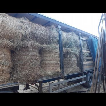 Продам сено в рулонах