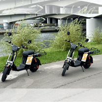 Ищу партнера в прокатный бизнес, Советск