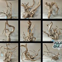 Коряги для аквариума, Благовещенск