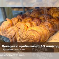Прибыльный бизнес пекарни по франшизе, бизнес, Нариманов