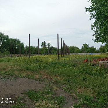 Участок 1,6 сот. (ИЖС)