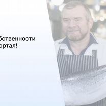 Филиал рыбоводческой сети в городе Прохладный, Прохладный