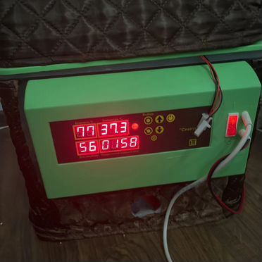 Автоматический инкубатор для яиц "Спектр-84-01"
