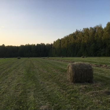 Качественное сено в рулонах