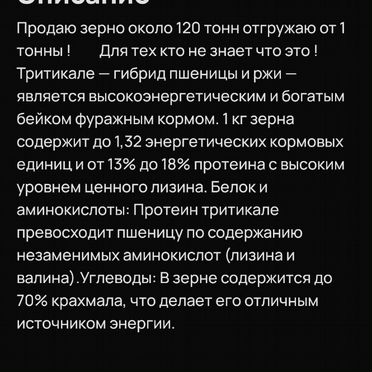 Зерно пшеница третикале