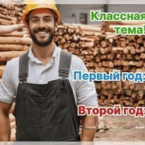 Агентство по деревообработке в городе, Ашхабад